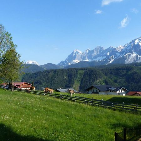 Haus Panorama Lejlighed Schladming Eksteriør billede