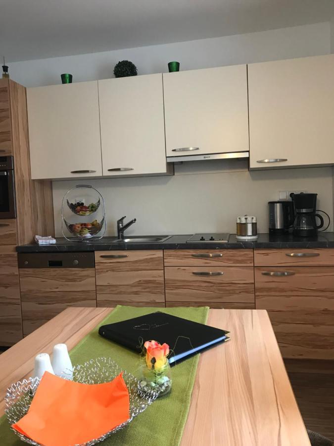Haus Panorama Lejlighed Schladming Eksteriør billede